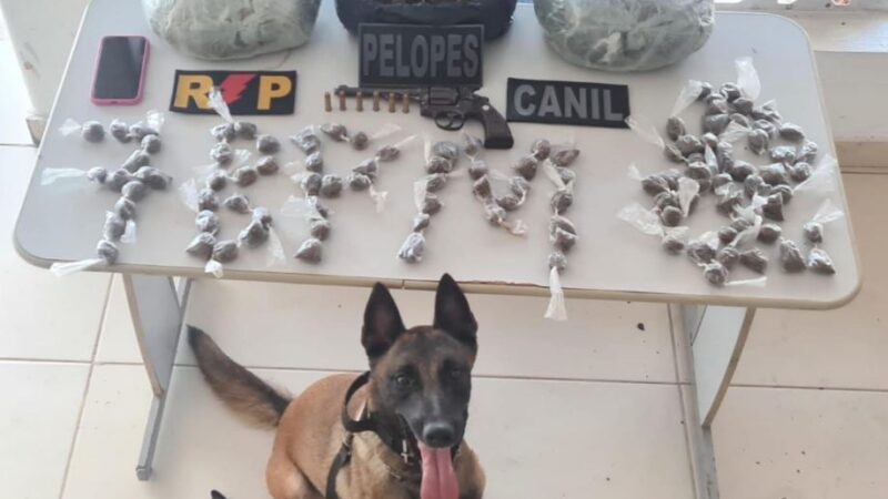 Guarnições do 7° Batalhão da PM apreendem droga e armas em abordagens no Sertão
