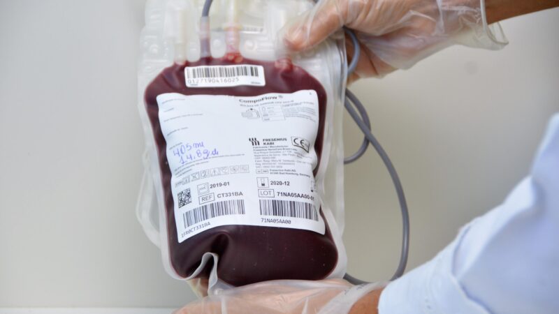 Hemoal promove coleta externa de sangue em Maceió nesta terça-feira (5)