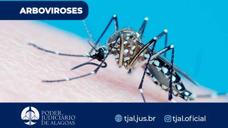 Infectologista do TJAL dá dicas para evitar dengue e outras arboviroses