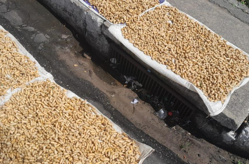 Vigilância Sanitária de Maceió realiza apreensões no bairro Levada