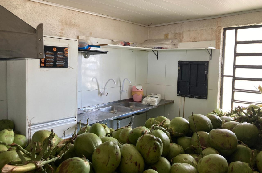 Vigilância Sanitária interdita comércio de coco na Jatiúca