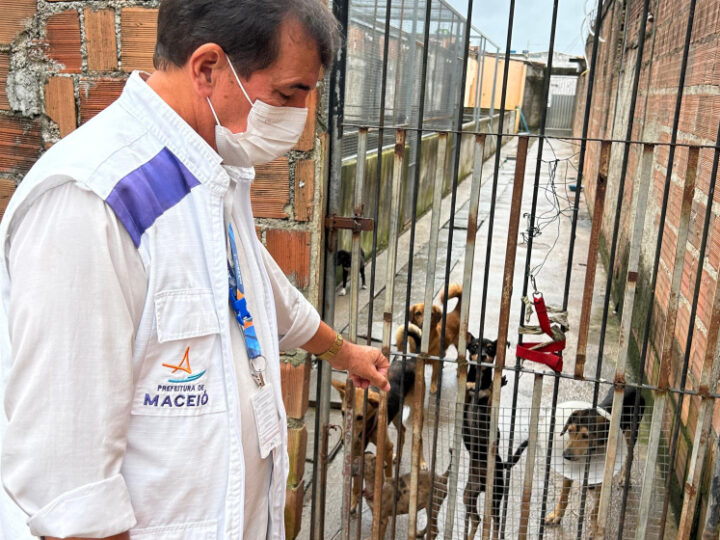 Vigilância Sanitária notifica abrigo de animais na parte alta da Capital