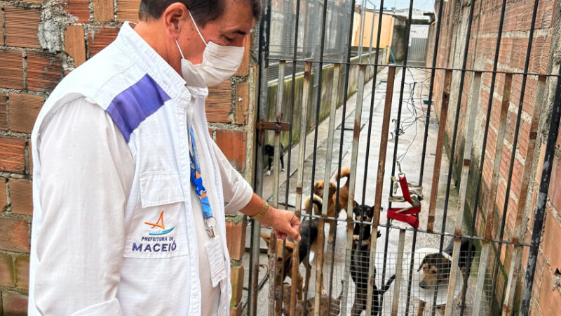 Vigilância Sanitária notifica abrigo de animais na parte alta da Capital