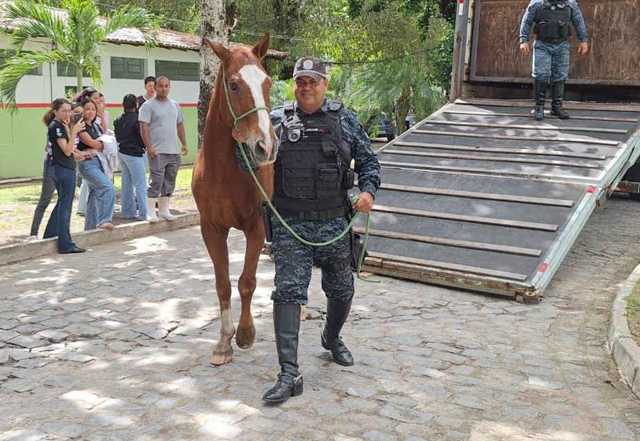 Cavalo da PM-AL é doado ao Ifal para uso em ensino e pesquisa agropecuária