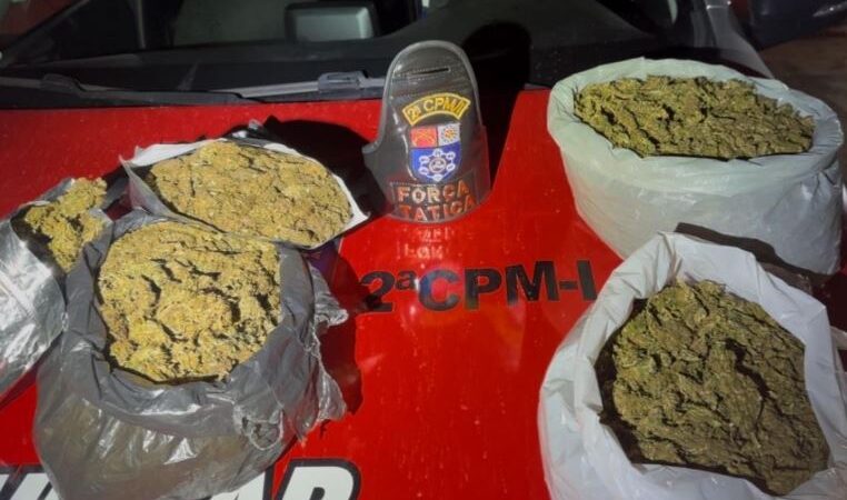 PM apreende mais de três quilos de maconha durante ação em Paripueira