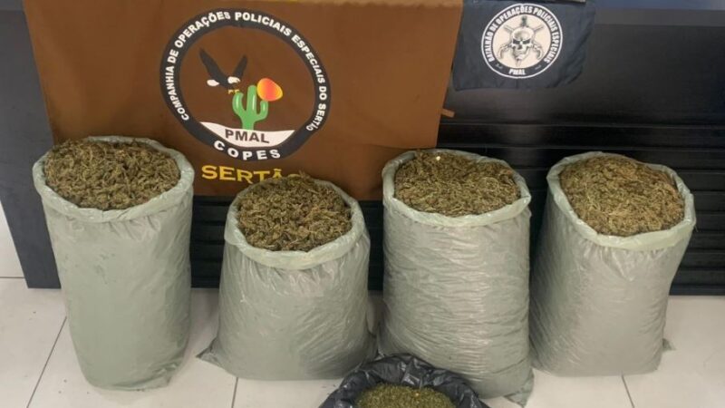 PM-AL retira mais de 62 quilos de drogas e 37 armas de fogo das ruas