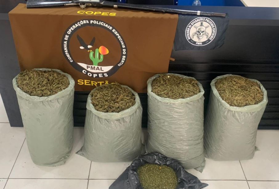 PM-AL retira mais de 62 quilos de drogas e 37 armas de fogo das ruas