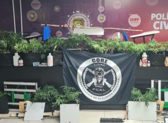 Polícia Civil estoura laboratório usado para cultivo e refinamento de maconha em Maceió
