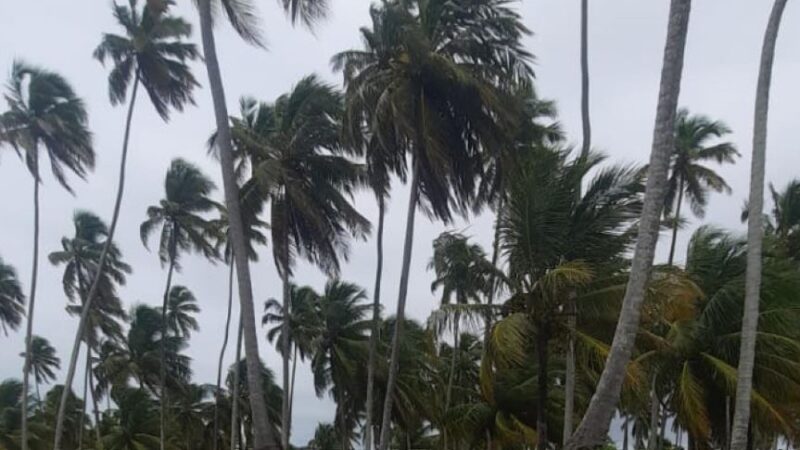 Defesa Civil de Alagoas reforça alerta de ventos fortes para os próximos dias