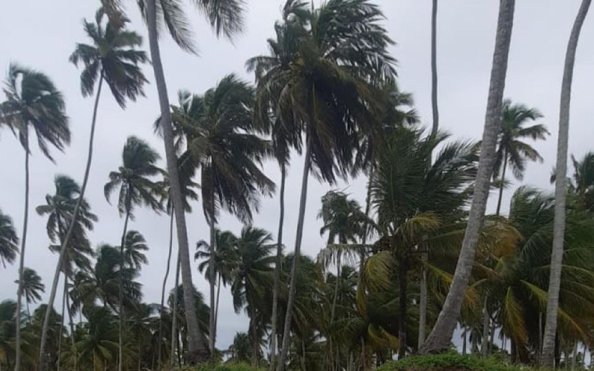 Defesa Civil de Alagoas reforça alerta de ventos fortes para os próximos dias