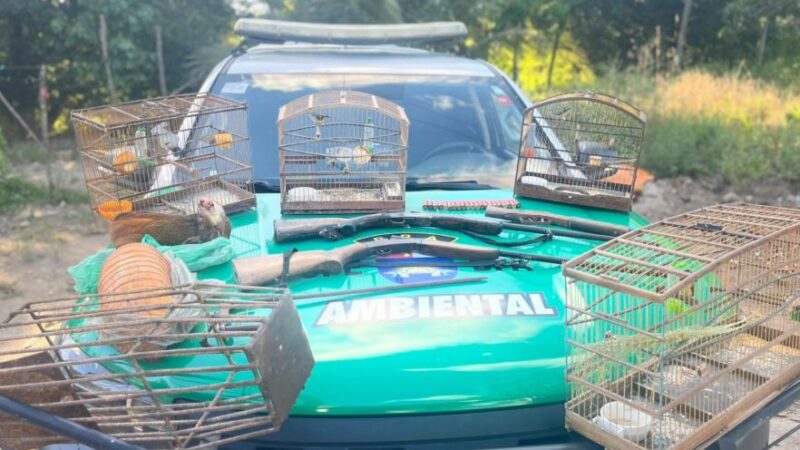 Polícia Militar apreende aves silvestres, armas e armadilhas de caça em Porto de Pedras