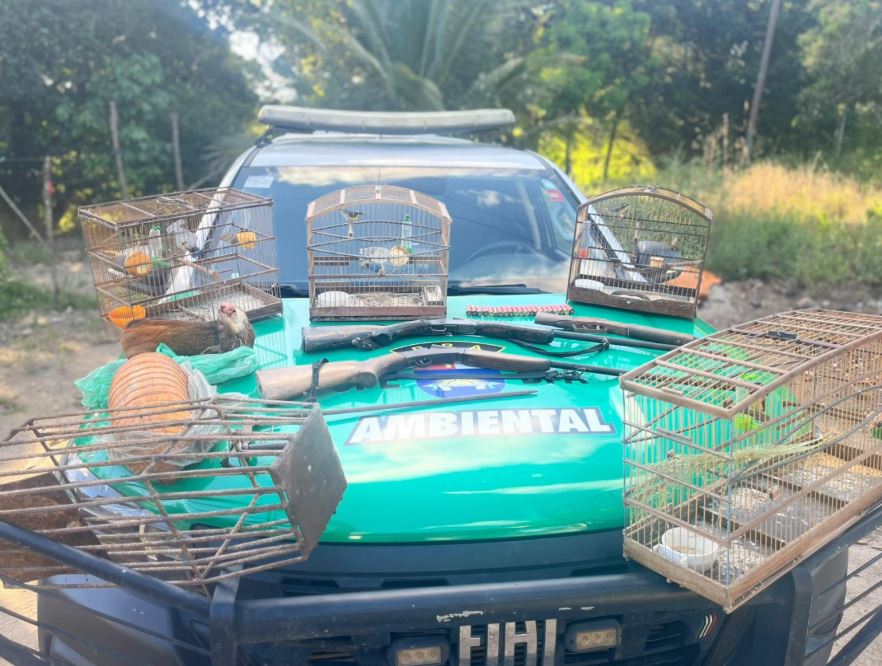 Polícia Militar apreende aves silvestres, armas e armadilhas de caça em Porto de Pedras