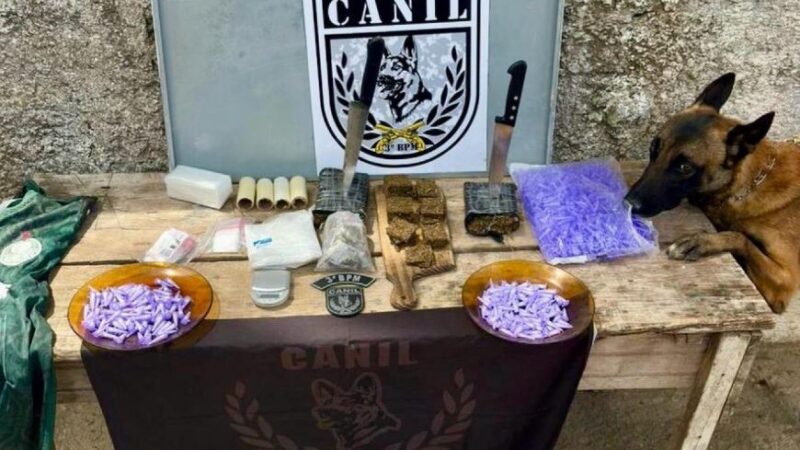 Polícia Militar apreende drogas em Maceió, Arapiraca e Olho d’Água das Flores