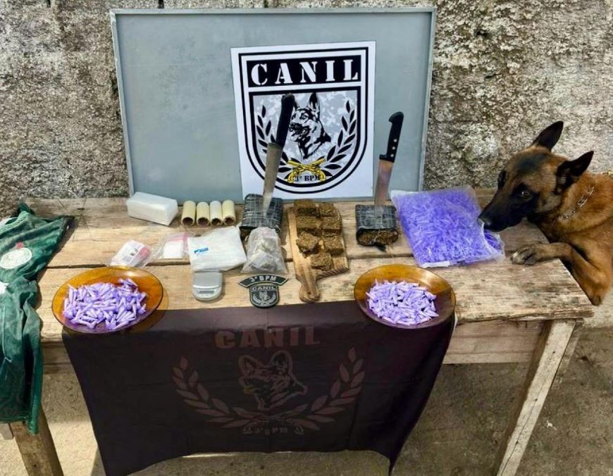 Polícia Militar apreende drogas em Maceió, Arapiraca e Olho d’Água das Flores