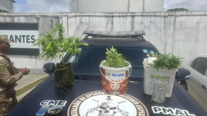 Polícia Militar apreende 5kg de drogas e descobre plantação de maconha em Maceió