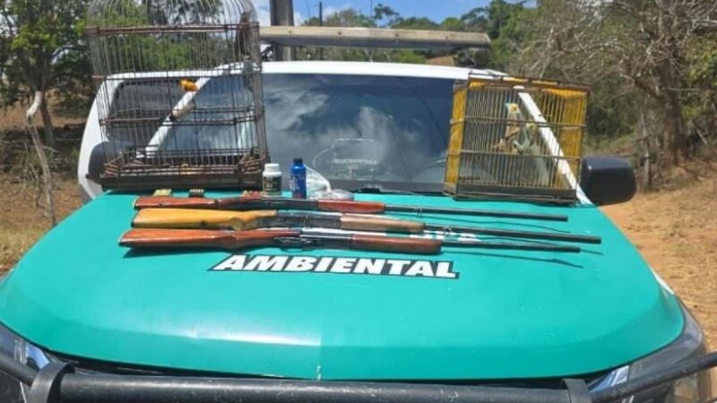 Polícia Militar apreende armas e resgata aves silvestres durante fiscalização no Agreste