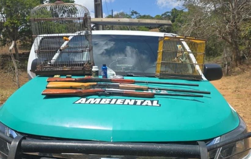Polícia Militar apreende armas e resgata aves silvestres durante fiscalização no Agreste