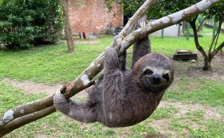 Do resgate à liberdade: o balanço do trabalho do Cetas em 2025