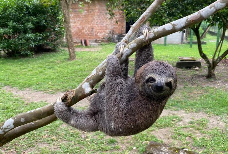 Do resgate à liberdade: o balanço do trabalho do Cetas em 2025