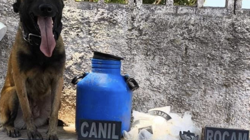 PM apreende mais de 1.800 porções de drogas em ações em Arapiraca e Piaçabuçu