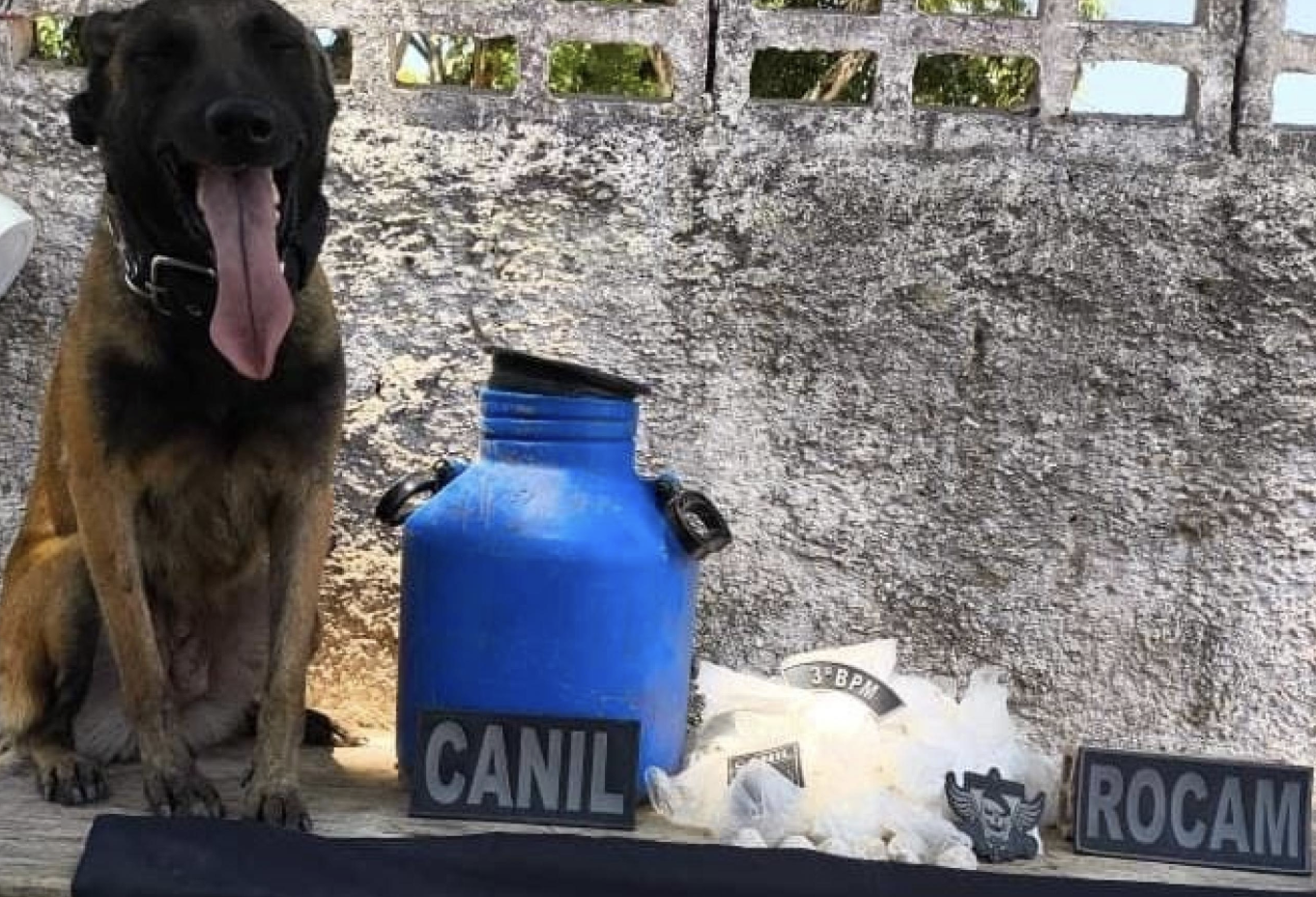 PM apreende mais de 1.800 porções de drogas em ações em Arapiraca e Piaçabuçu