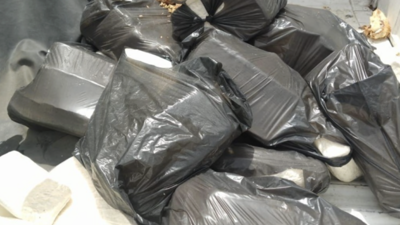 Vigilância Sanitária interdita pastelaria no Vergel e apreende 300 kg de produtos impróprios para consumo