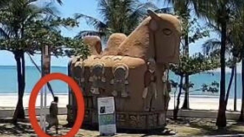 Segurança Cidadã divulga imagens do suspeito de atear fogo na escultura “O Boi”, no Jaraguá