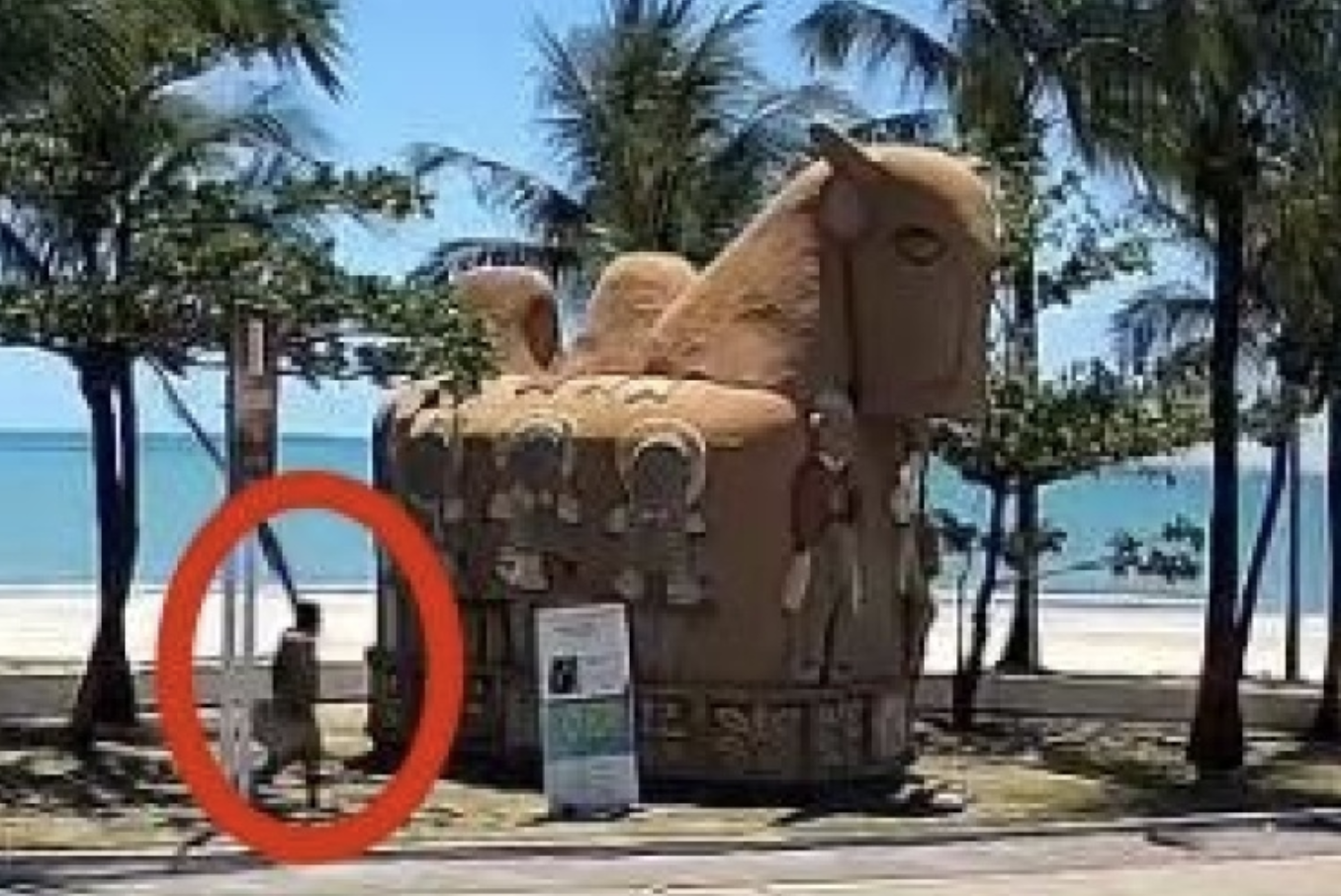 Segurança Cidadã divulga imagens do suspeito de atear fogo na escultura “O Boi”, no Jaraguá