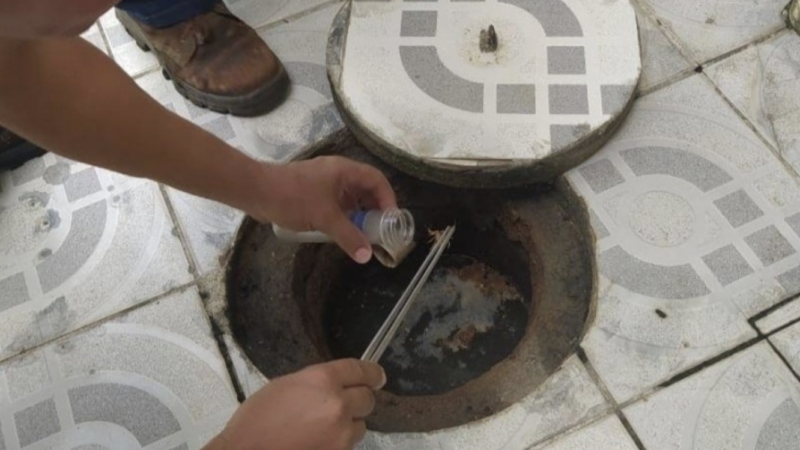 Saúde orienta população sobre prevenção e atendimento de picadas de escorpião em Maceió