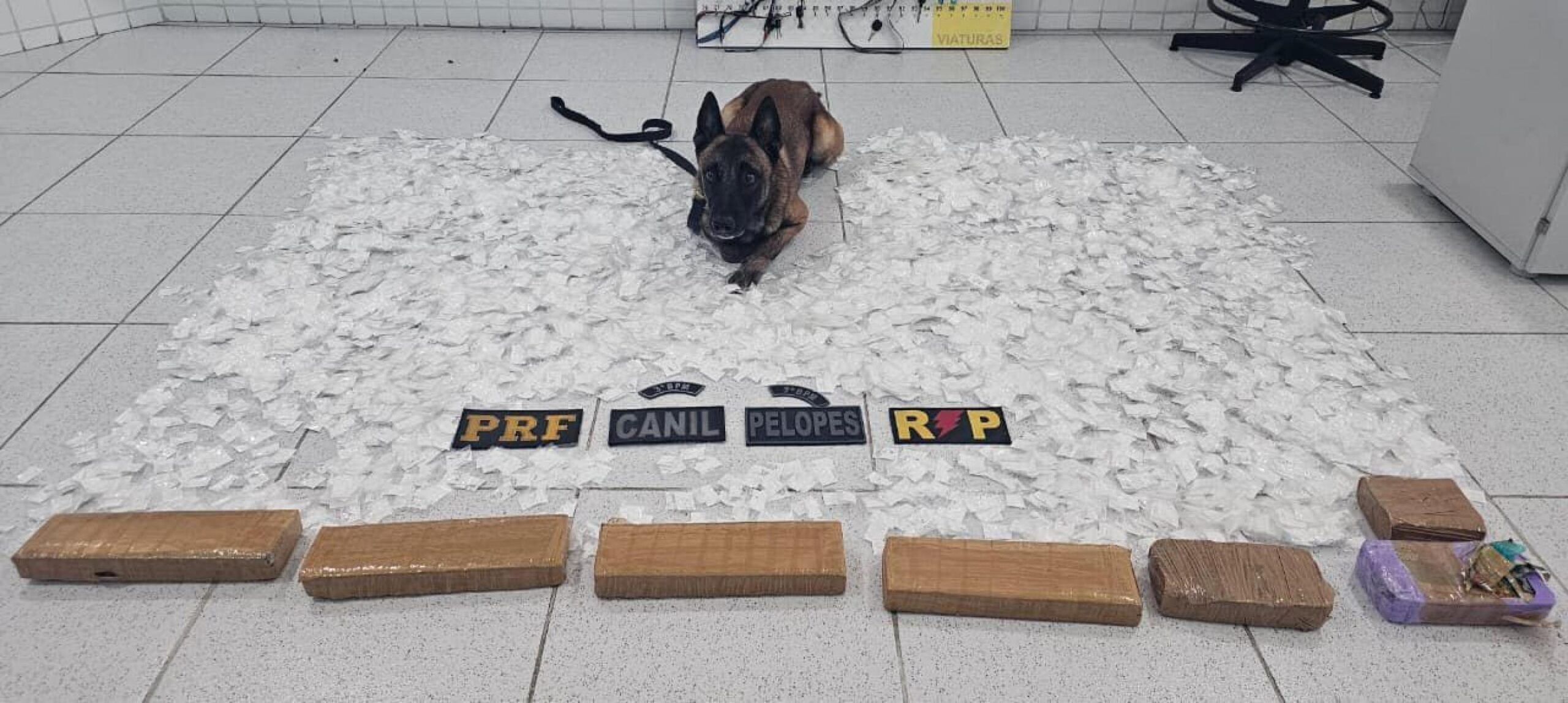 Operação intercepta carga de drogas avaliada em R$ 500 mil e prende traficante em Canapi