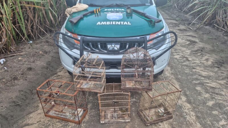 PM-AL resgata mais de 250 animais silvestres e apreende oito armas em operações ambientais