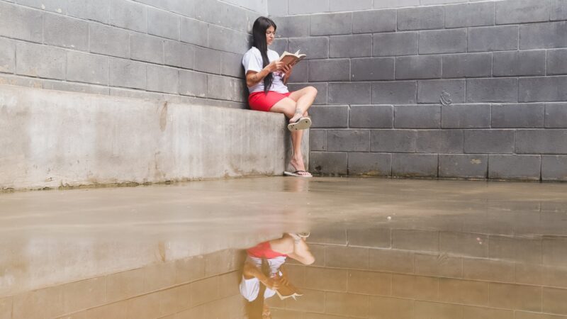 Livros que libertam: o poder da leitura no sistema prisional