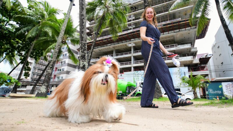 Alagoas inicia Campanha de Vacinação Antirrábica no dia 3 de novembro