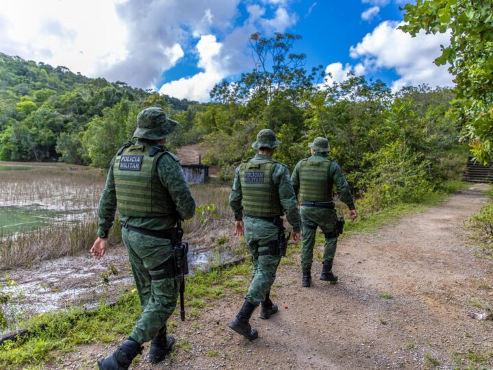Polícia Militar resgata jaguatirica em área urbana no município de Penedo