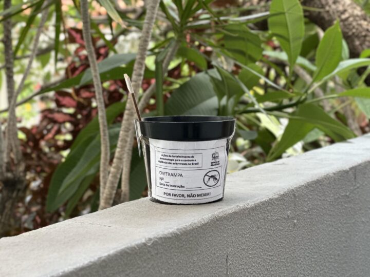 Sesau implanta técnica Ovitrampa em São Miguel dos Campos para tornar mais efetivo combate ao Aedes aegypti